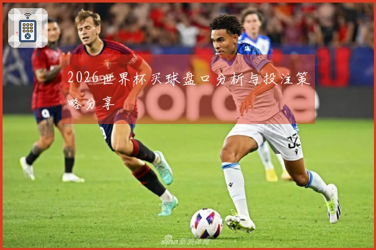 2026世界杯买球盘口分析与投注策略分享