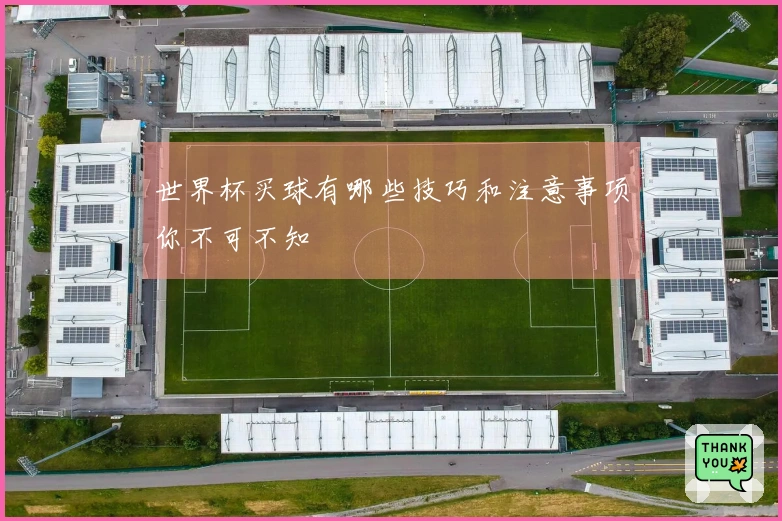 世界杯买球有哪些技巧和注意事项你不可不知