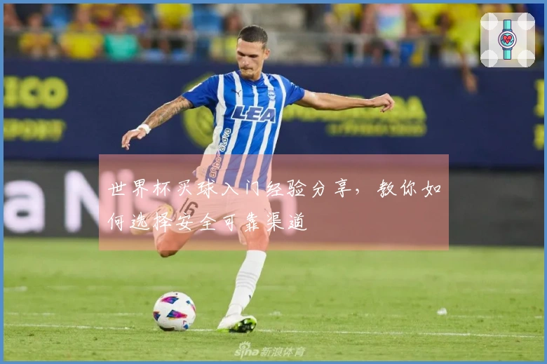 世界杯买球入门经验分享，教你如何选择安全可靠渠道