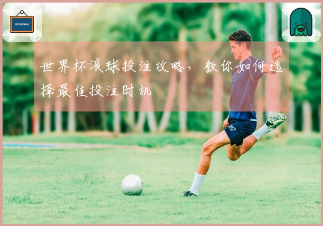 世界杯滚球投注攻略，教你如何选择最佳投注时机