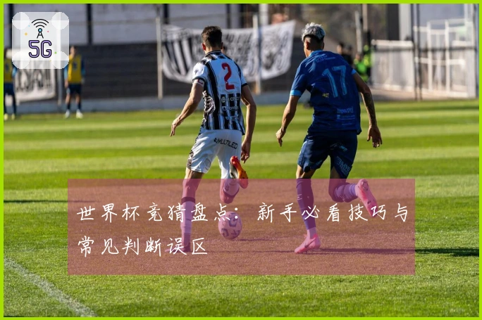 世界杯竞猜盘点：新手必看技巧与常见判断误区