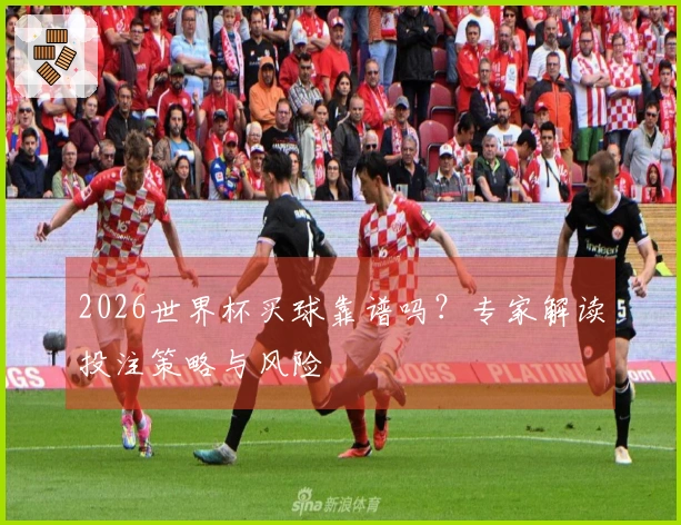 2026世界杯买球靠谱吗？专家解读投注策略与风险