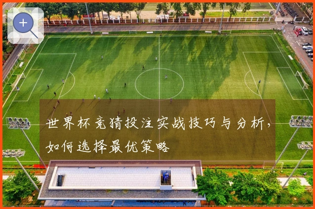 世界杯竞猜投注实战技巧与分析，如何选择最优策略