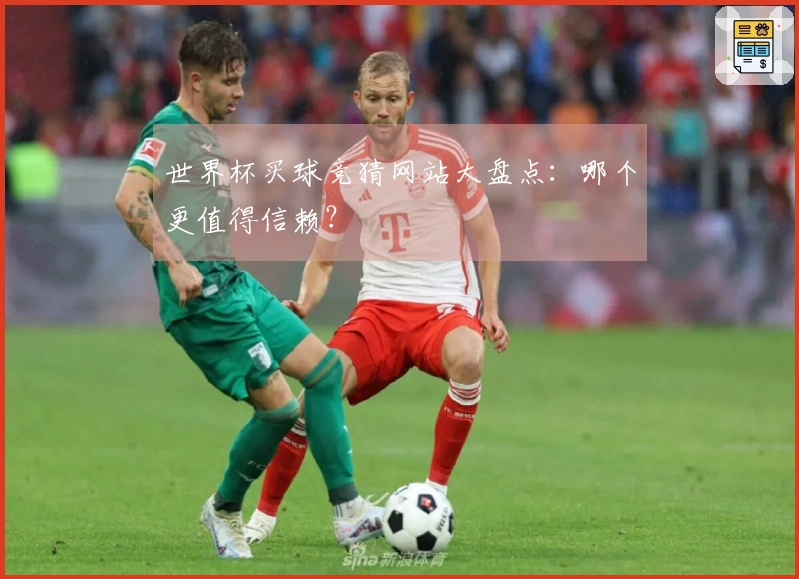 世界杯买球竞猜网站大盘点：哪个更值得信赖？