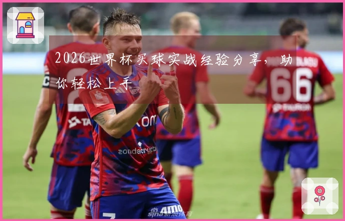 2026世界杯买球实战经验分享，助你轻松上手