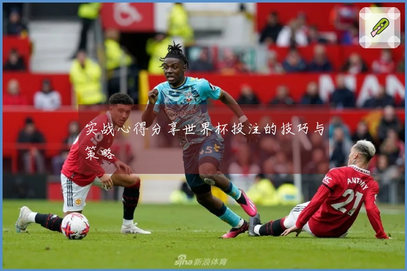 实战心得分享世界杯投注的技巧与策略